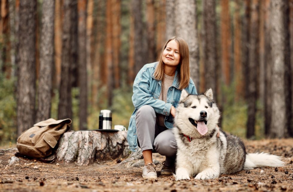 Junge Frau mit Alaskan Malamute im Wald